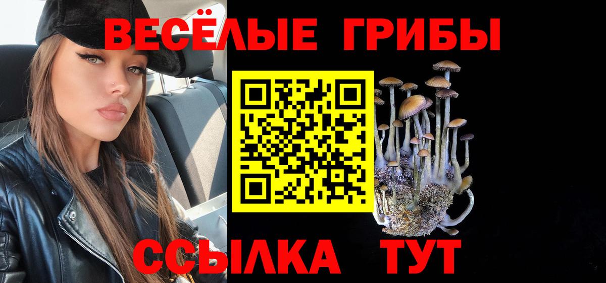 Псилоцибиновые грибы Psilocybe Рязань